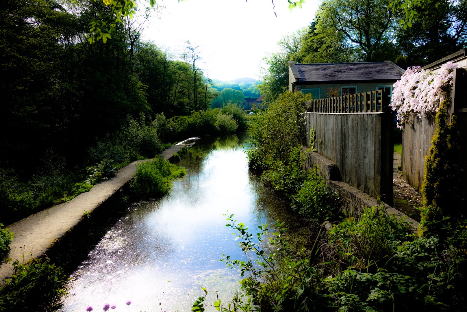 The Mill Stream