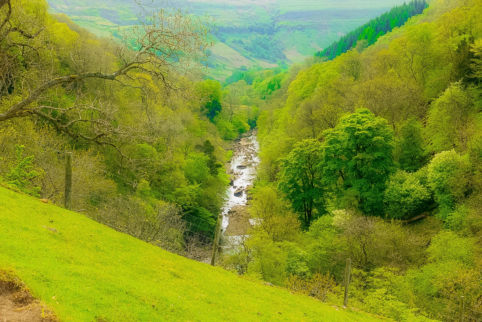 Above the River