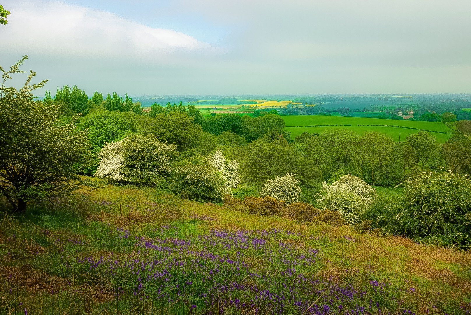 Before the Moor