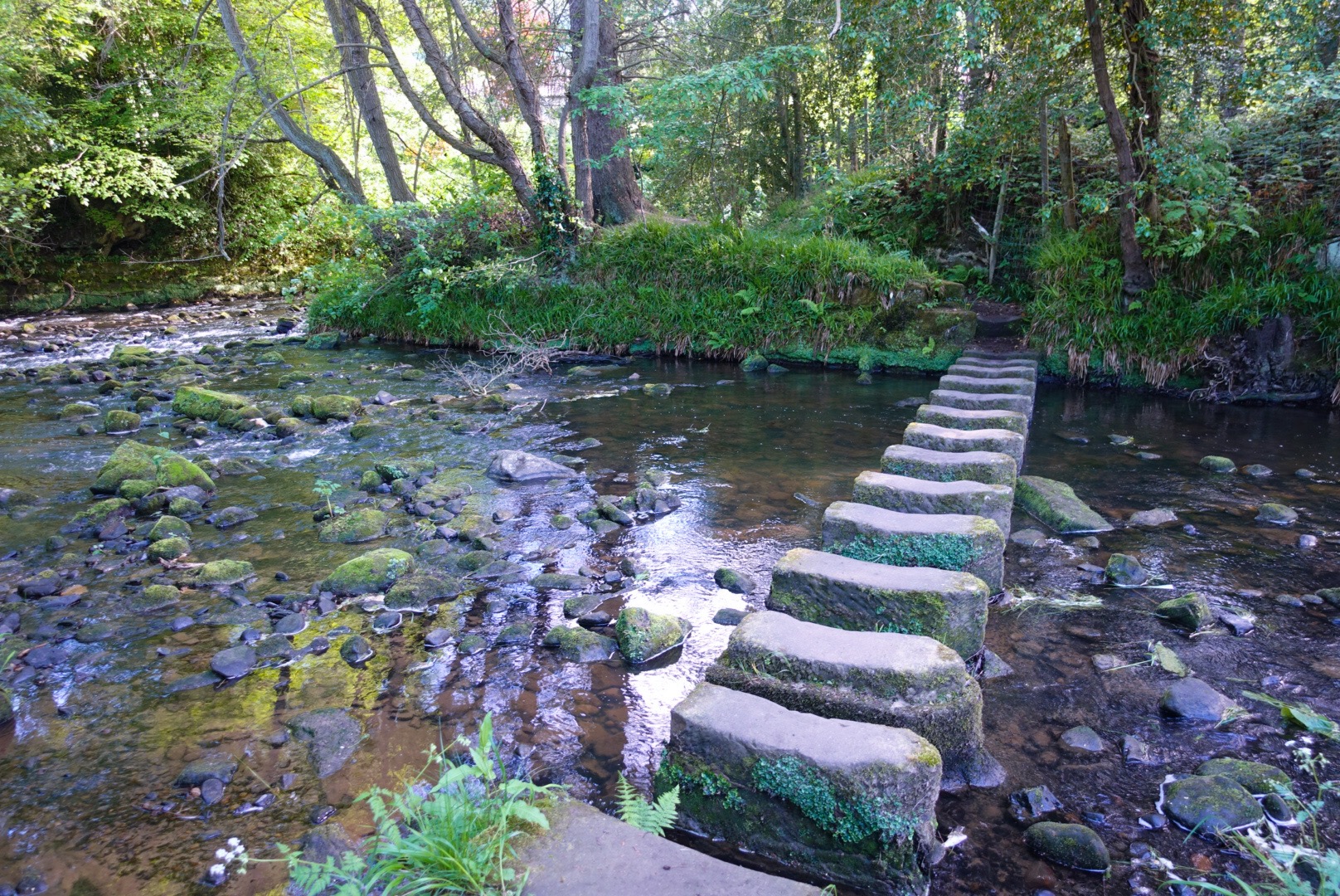 Stepping Stones