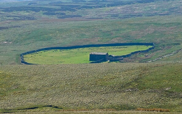 Old Cattle Enclosure