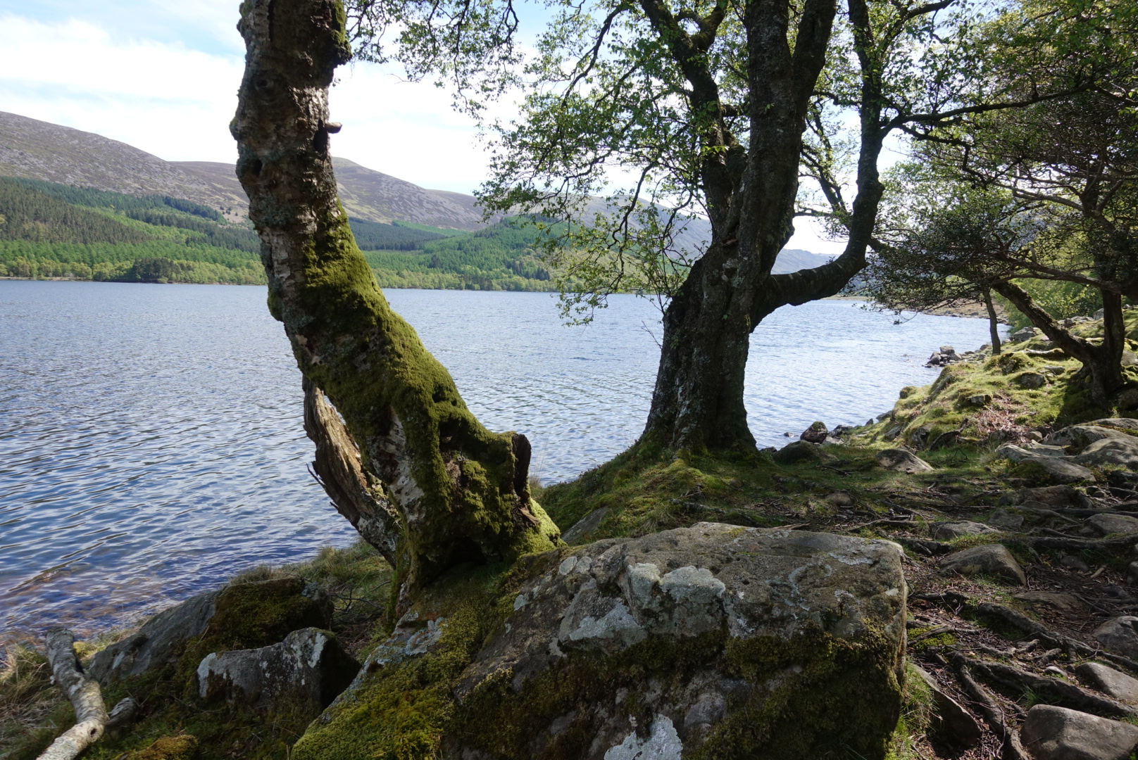 Ennerdale Water Rocks