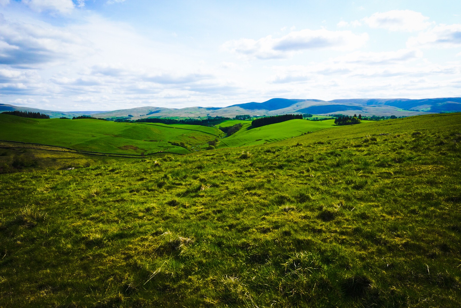 Yorkshire Dales