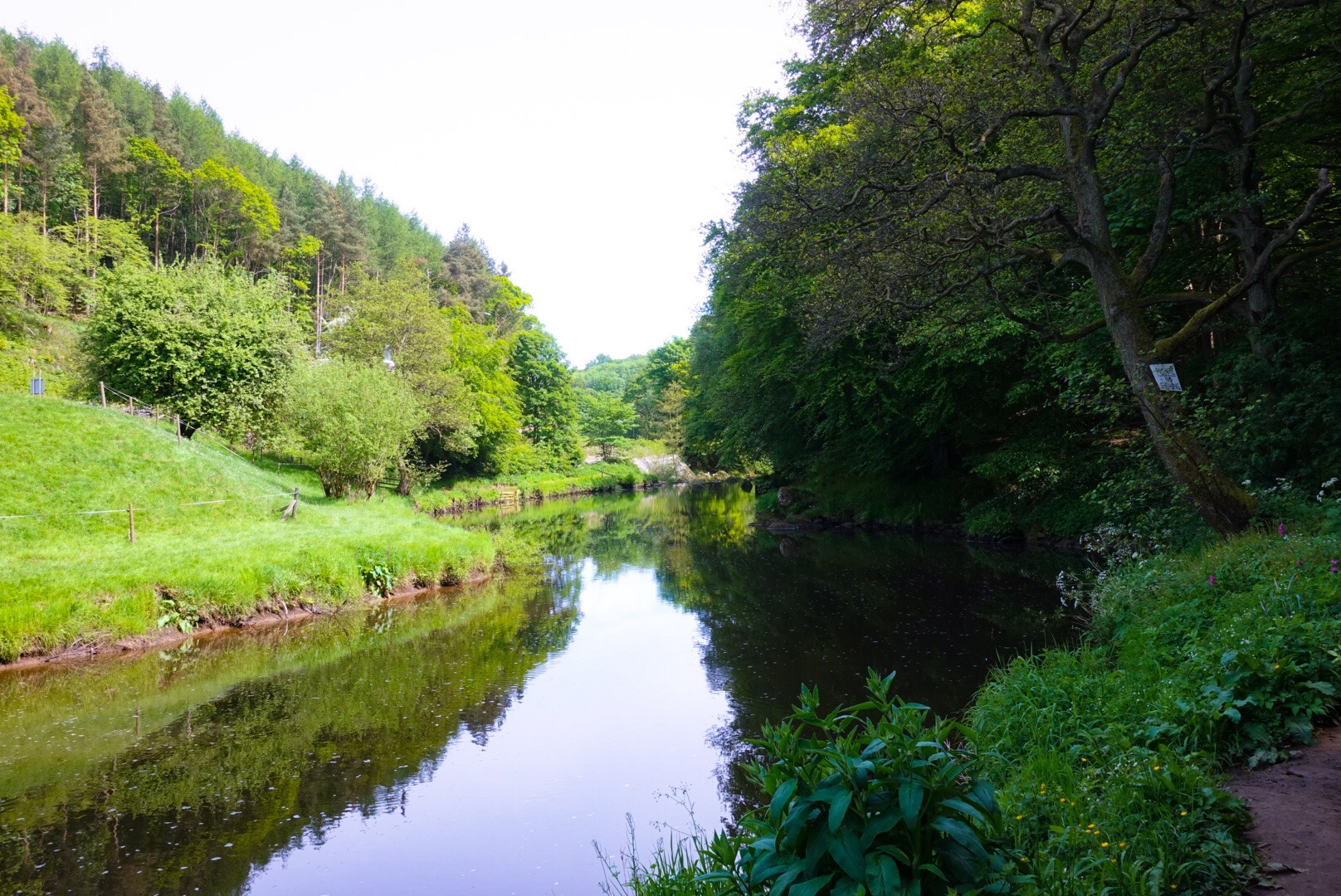 River Esk