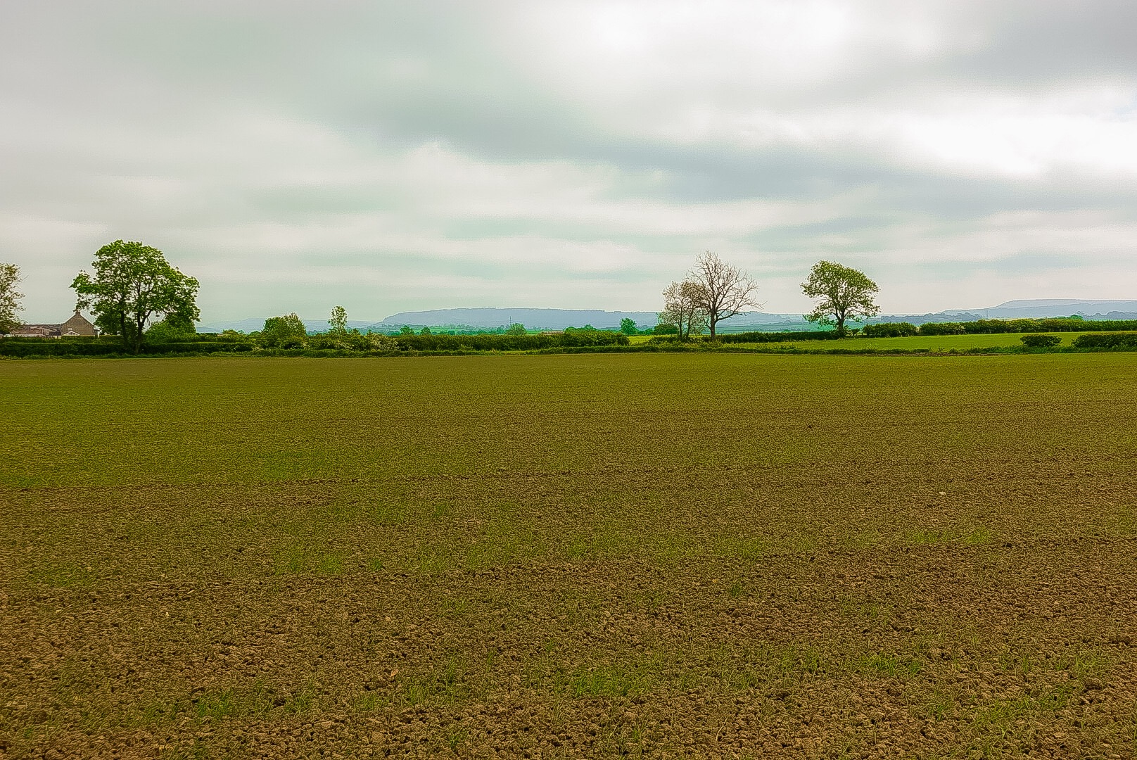 Moors in Distance