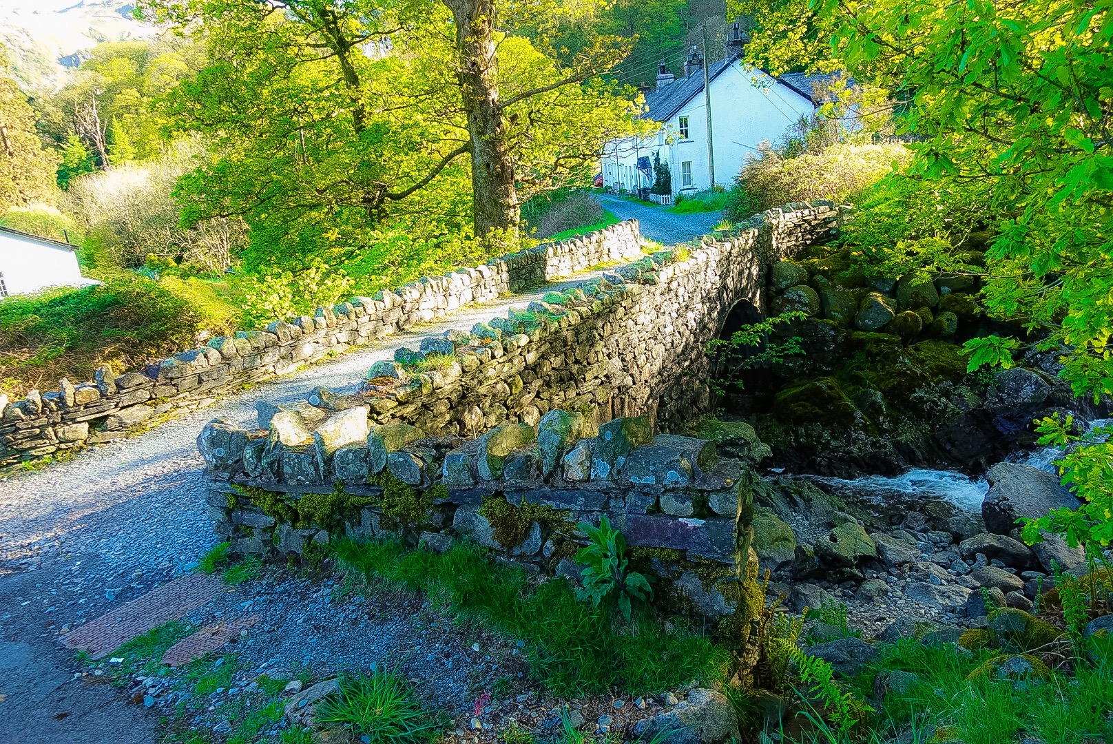 Bridge and Cottage