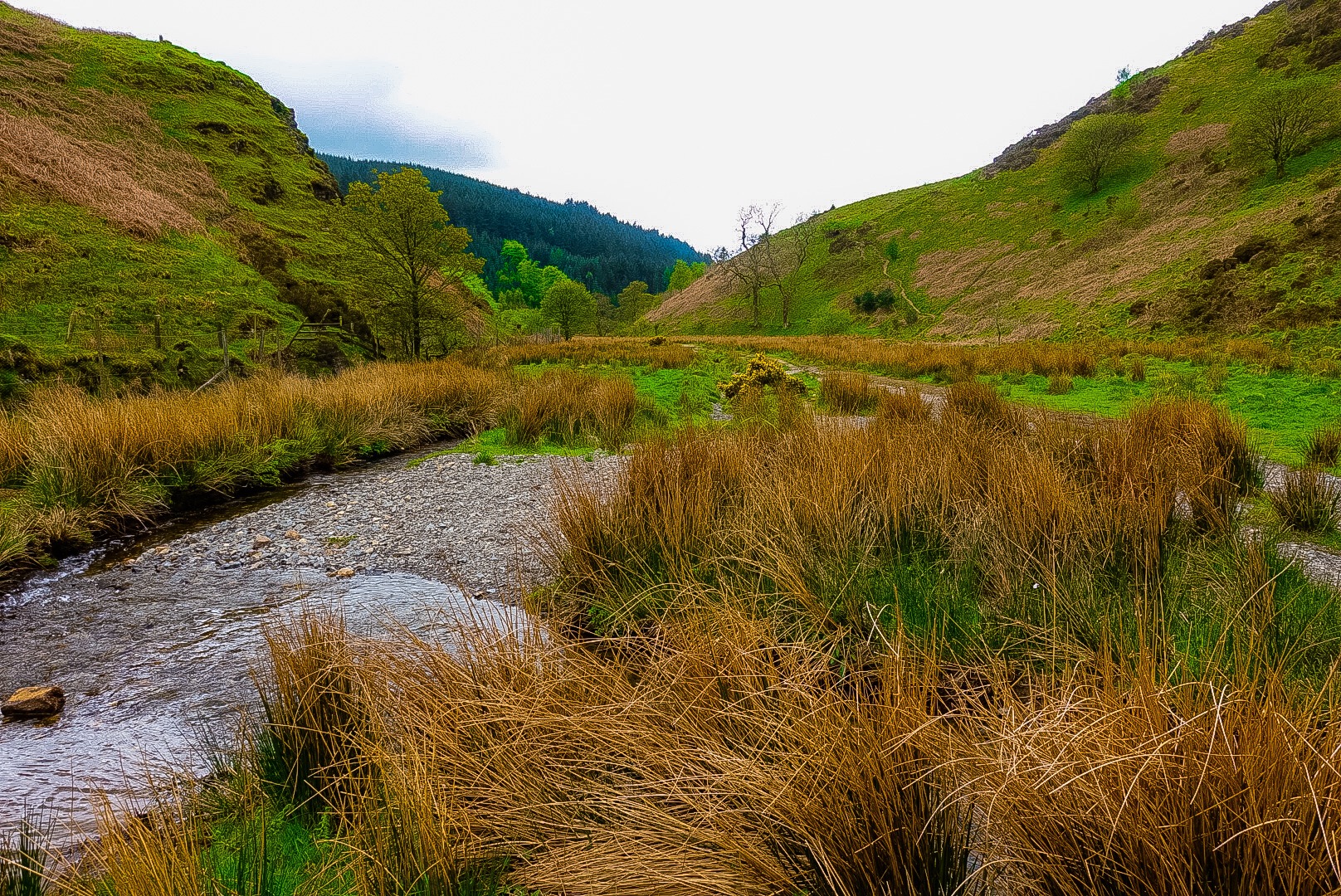 Along Nannycatch Beck