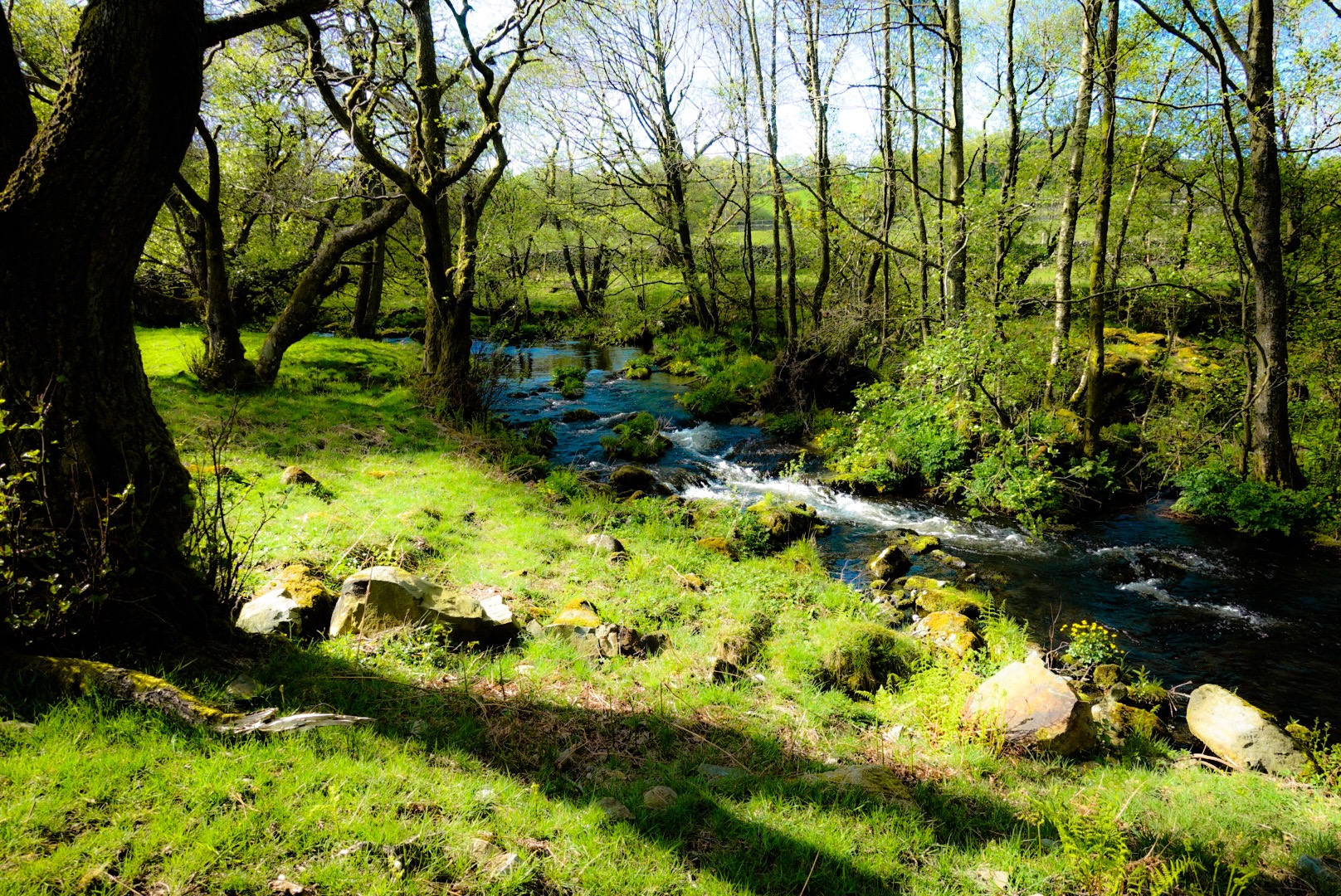 Path along a Stream