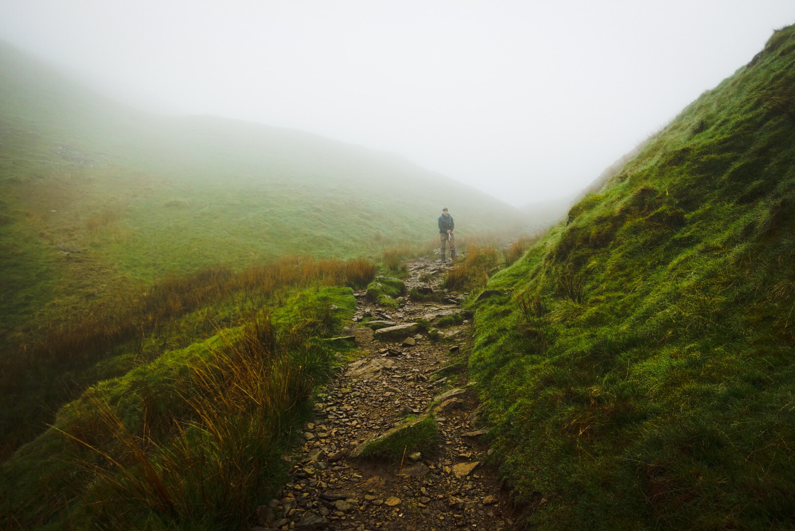 Climbing into the Mist