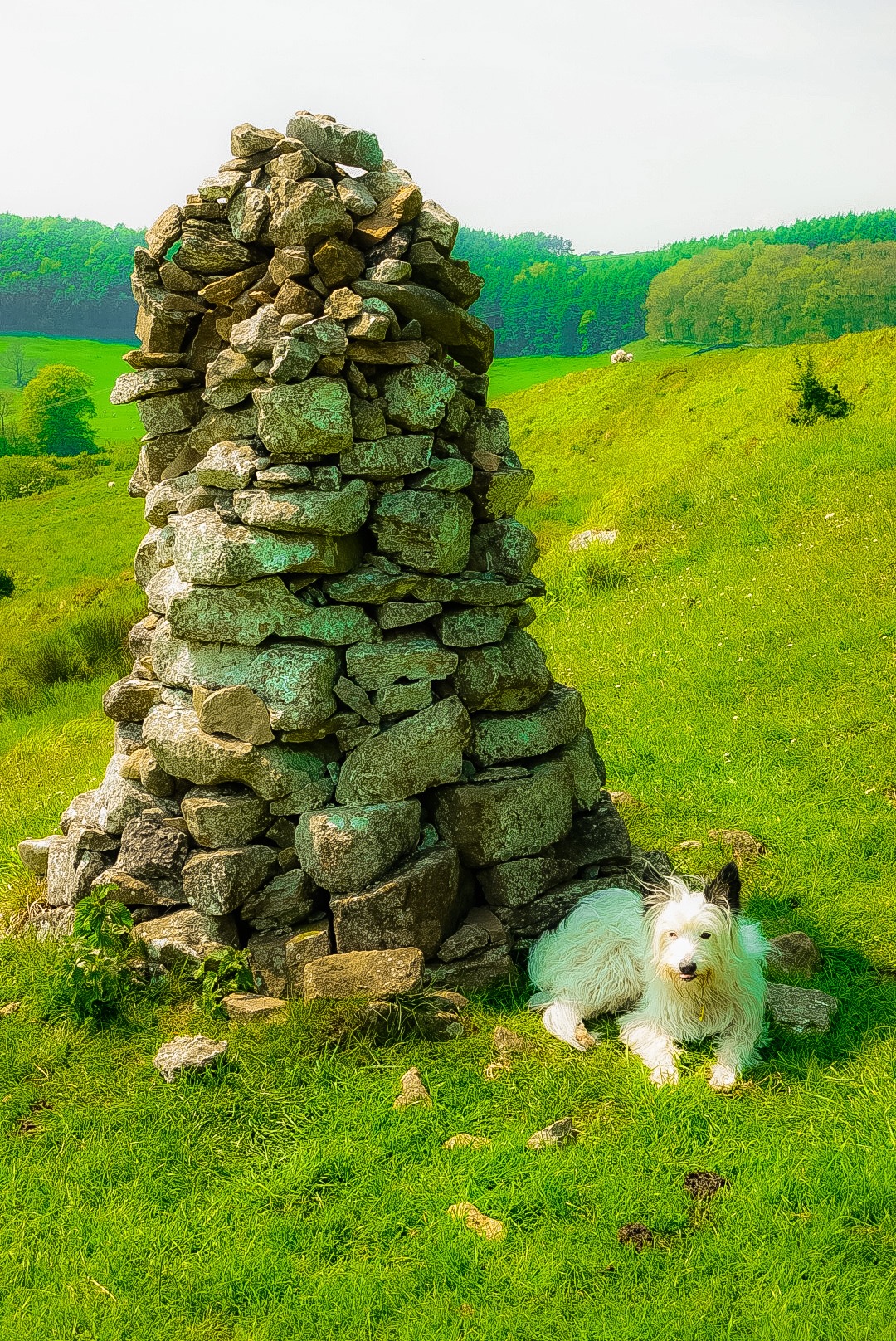 White Cairn