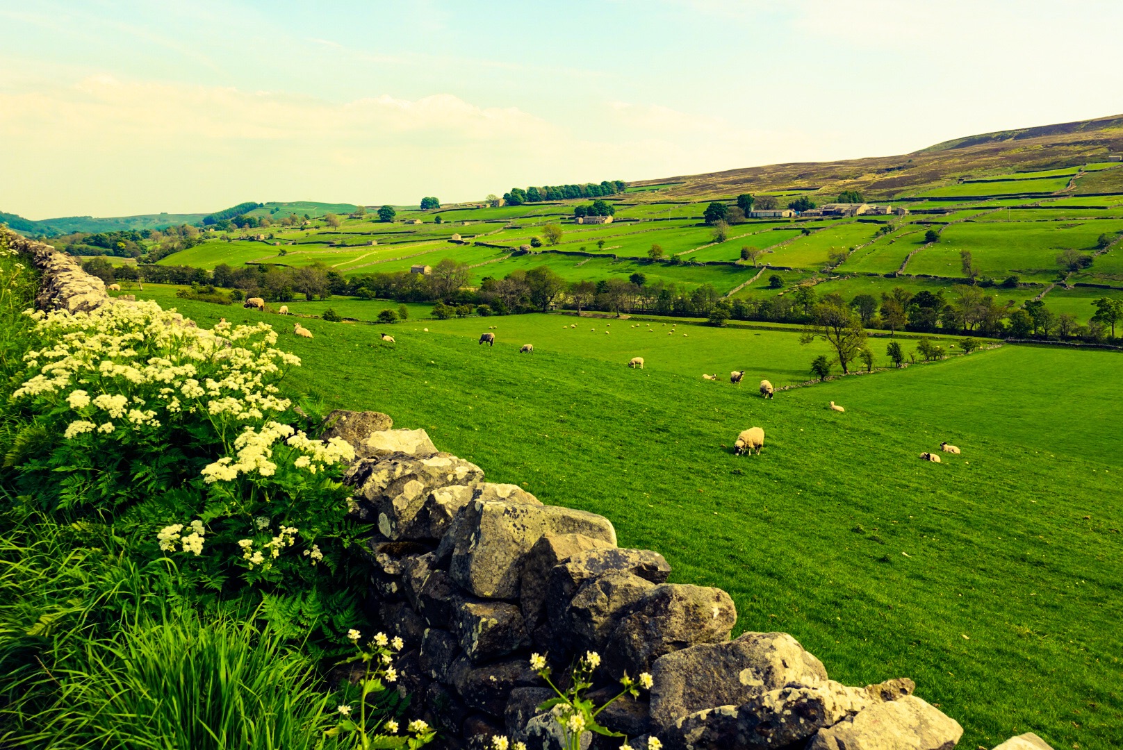 Swaledale