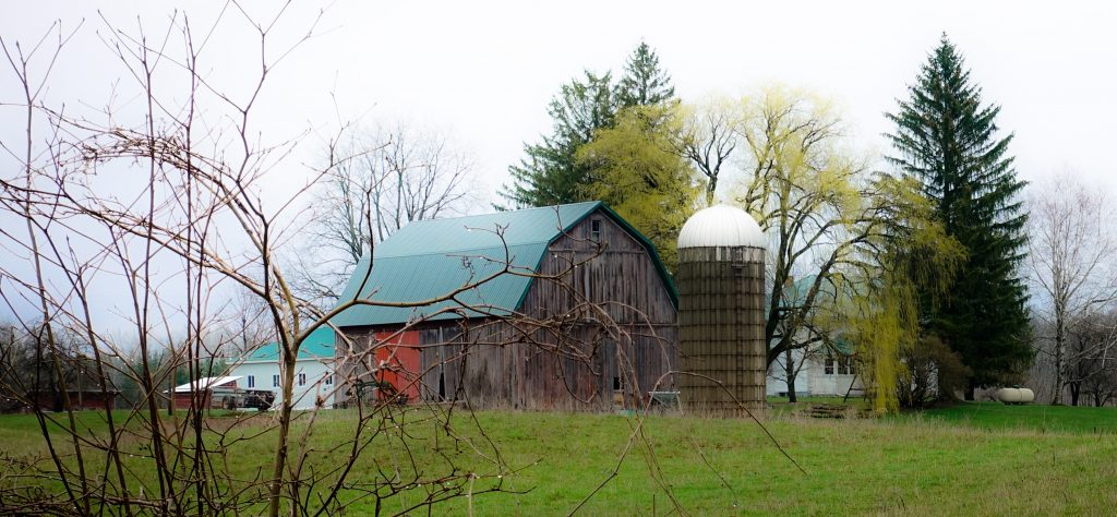 Barn