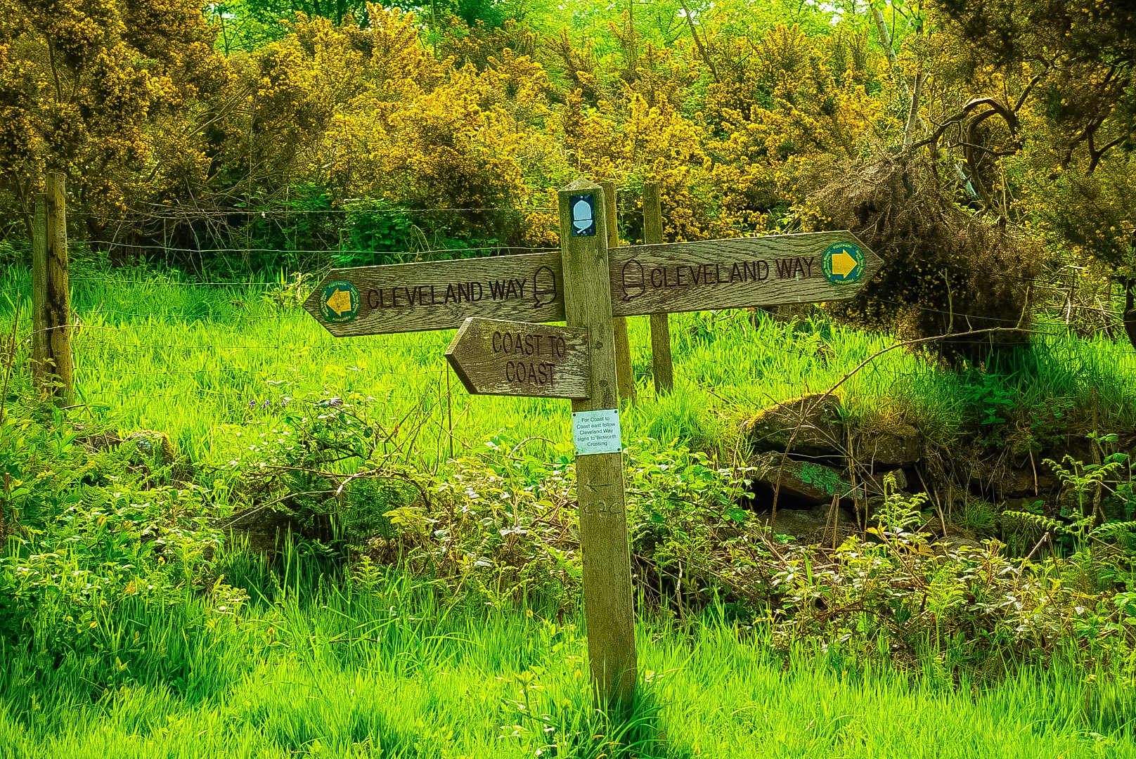 C2C and Cleveland Way