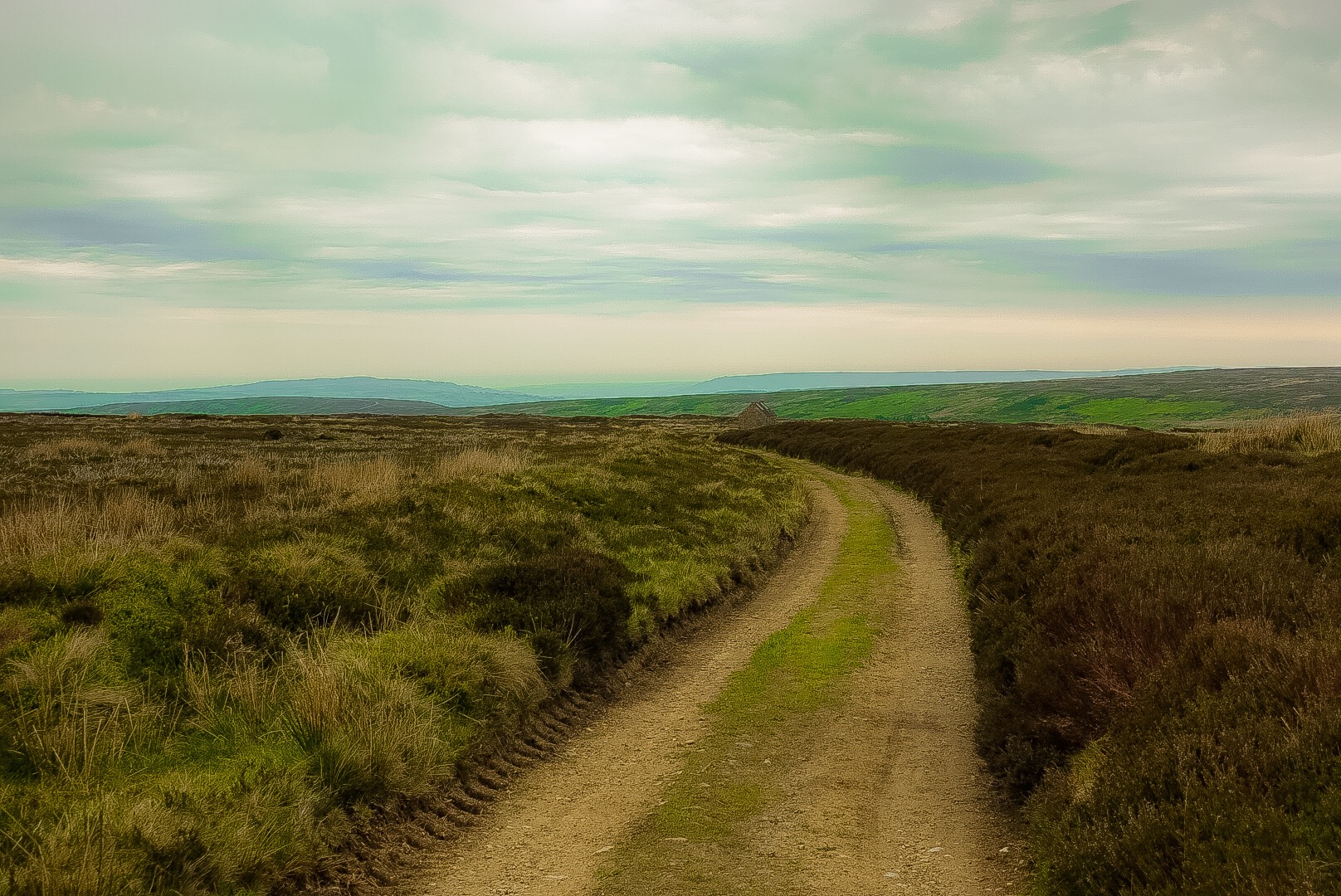 Moor Landscape