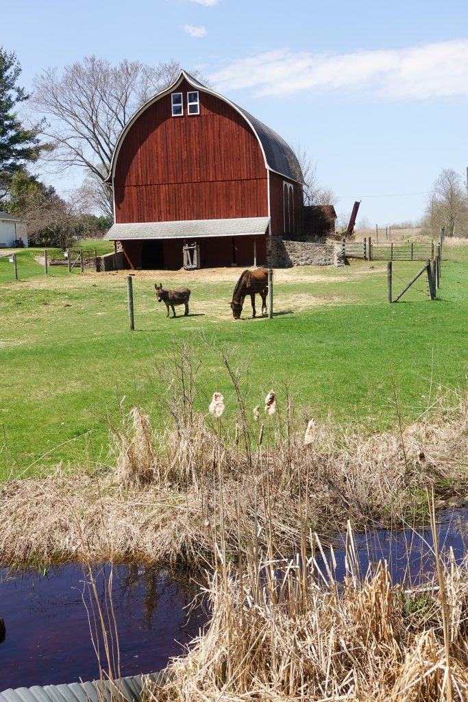 Pretty Barn