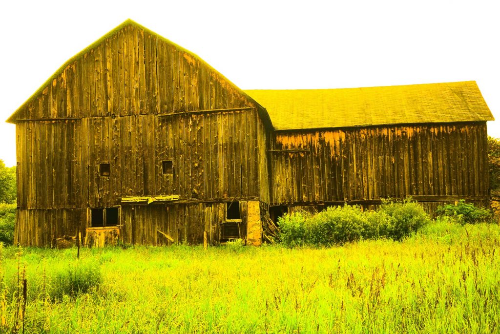 Same Old Barn