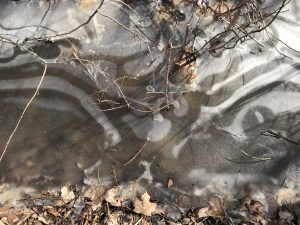 Ice on the White Pine Trail, LeRoy, Michigan - A Nature' Abstract